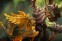 Warcraft приближается